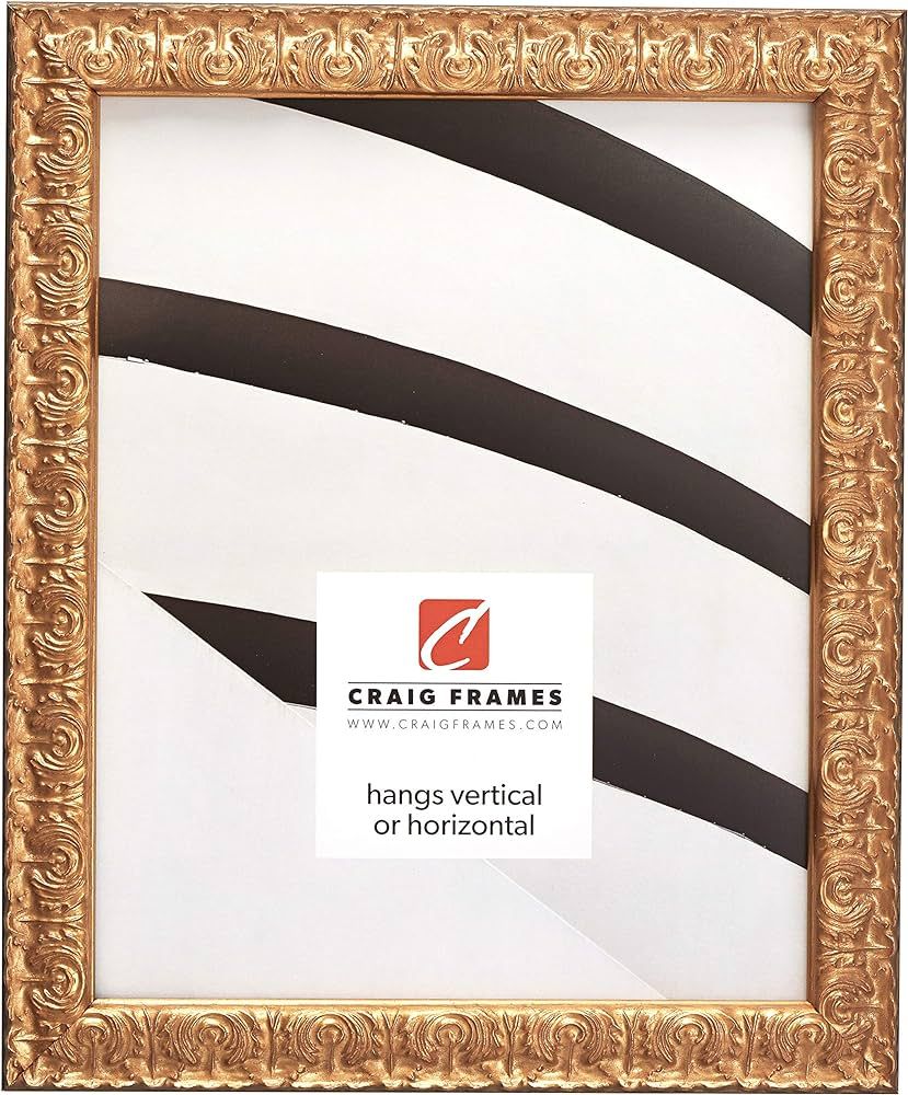 Craig Frames Versailles Picture Frame, 20 x 20 Inch, Gold | Amazon (US)