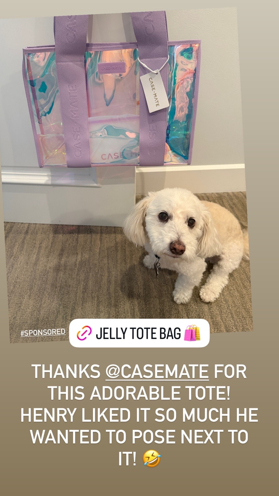 THANKS @CASEMATE FOR THIS ADORABLE TOTE! HENRY LIKED IT SO MUCH HE WANTED TO POSE NEXT TO IT! 🤣 #SPONSORED