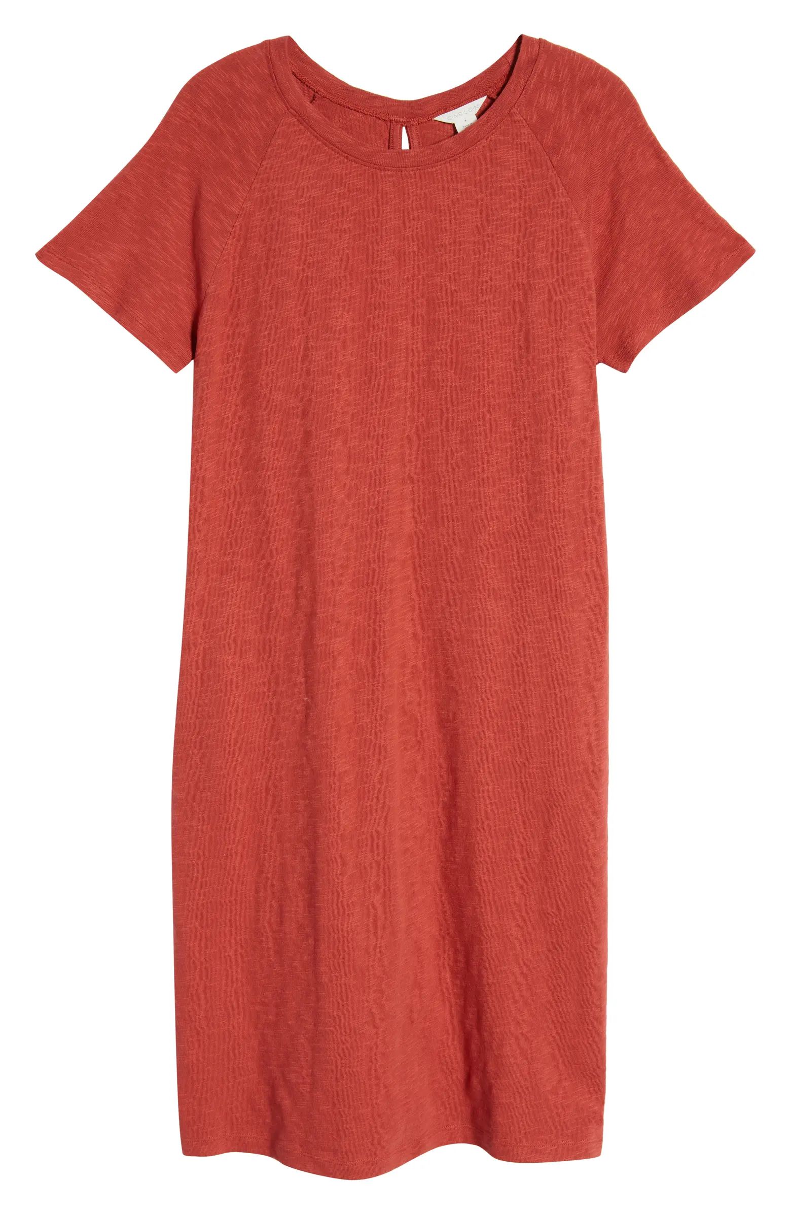 Caslon® Raglan T-Shirt Dress | Nordstrom | Nordstrom
