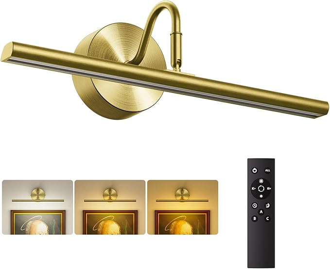 Picture Lights for Wall, 16.5" LED Wall Lights with Remote, Adjustable Color (2700K-6500K) and Di... | Amazon (US)