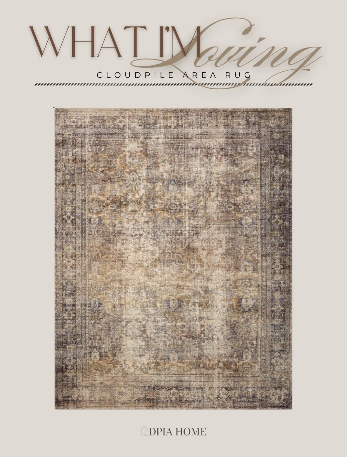 This cloudpile area rug is incredibly soft and stain resistant. It dries quickly after being clean. I love the neutral colors and vintage-style design. 🤎

#LTKHome #LTKStyleTip #LTKSaleAlert
