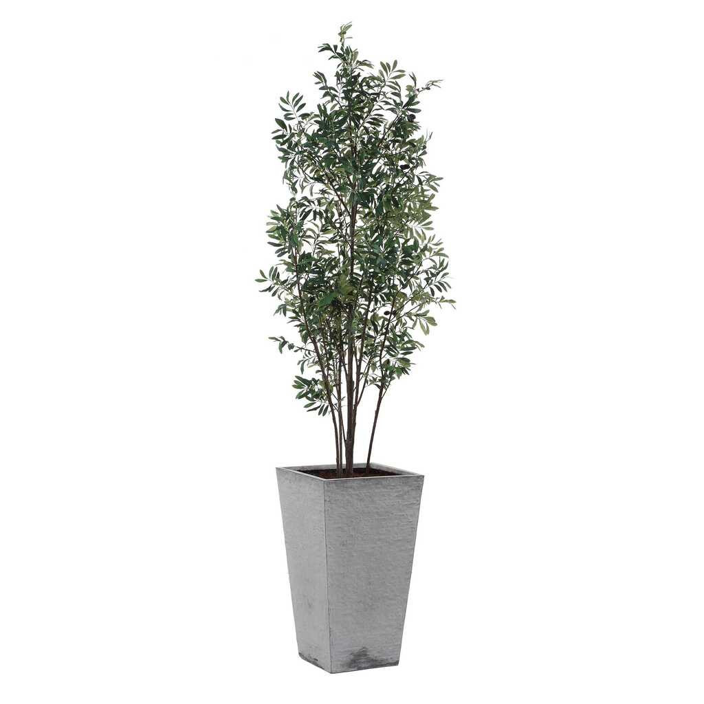 Sonora Tree In Planter In Gray and Green | 1stopbedrooms