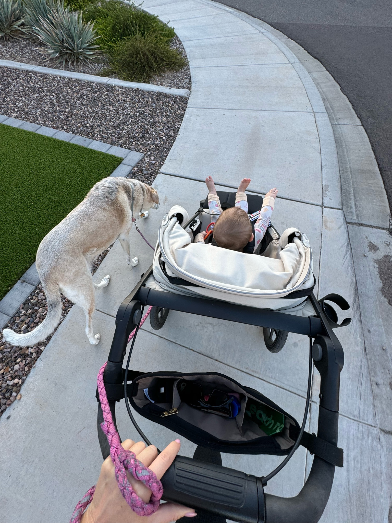 My all time favorite jogging / walking stroller is the Thule 

#LTKBaby #LTKHome #LTKBump
