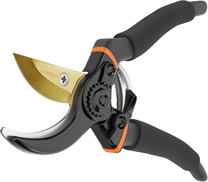 Amazon.com : Premium Bypass Pruning Shears for your Garden - Heavy-Duty, Ultra Sharp Pruners Made... | Amazon (US)