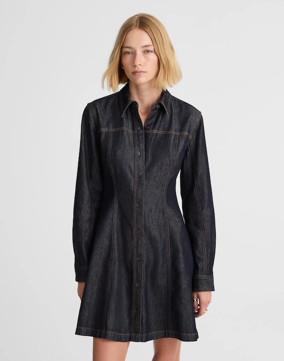 Airy Denim Seamed Shirtdress in Rinse Wash | Madewell