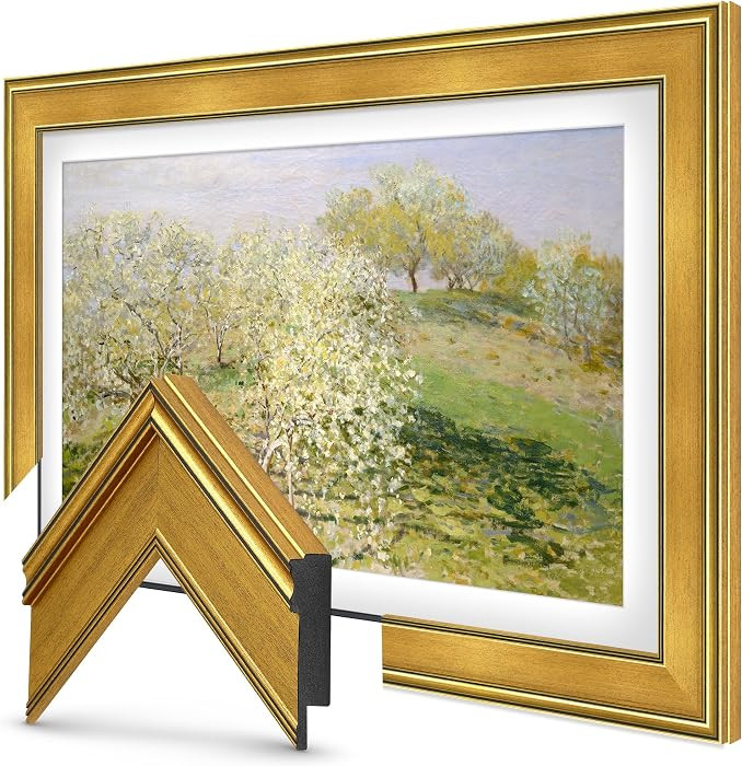 Antique Gold 55" Deco TV Frame for Samsung The Frame/Pro TVs | Amazon (US)