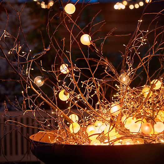 Stargazer Garden Lights Classic Clear LED Bulbs, Set of 21 Bulbs Only | Terrain