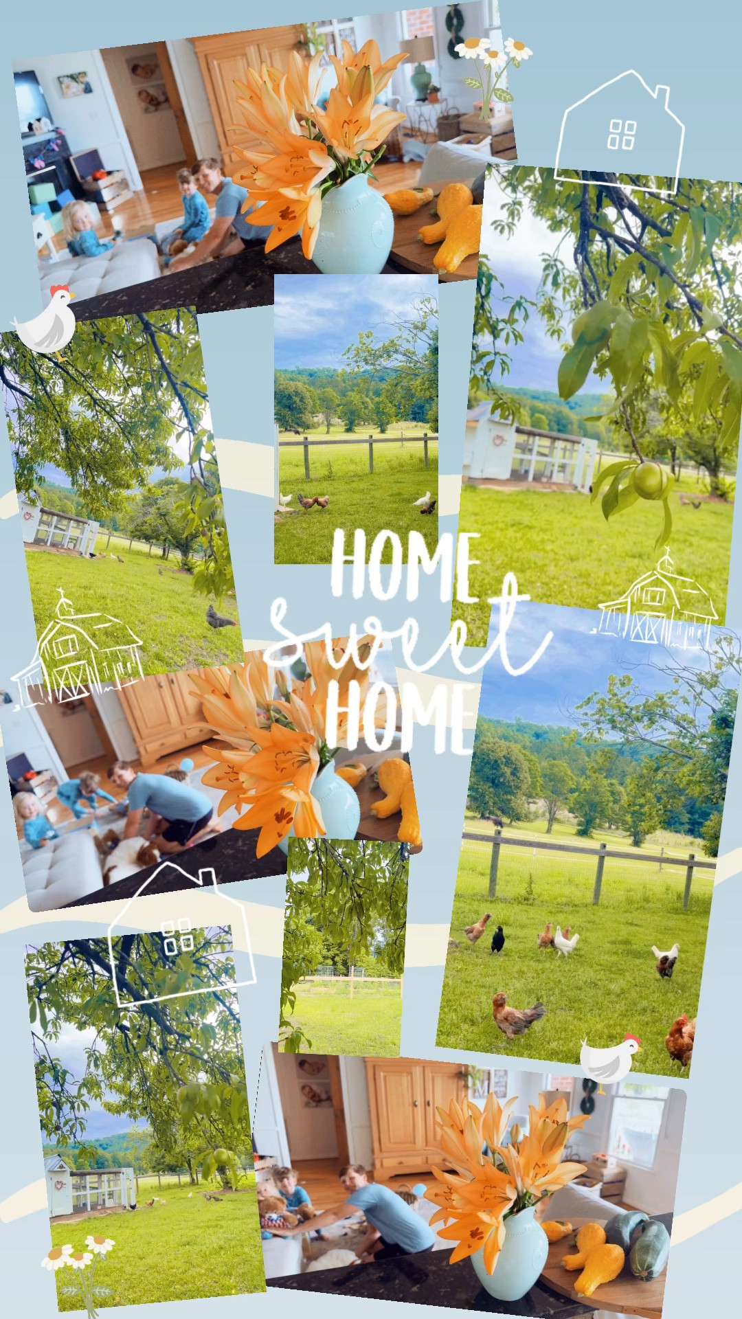 Home sweet home 🐓🐓🐓