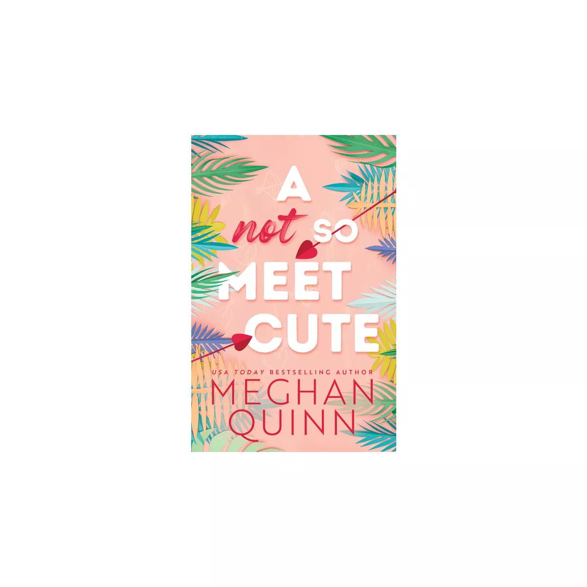A Not So Meet Cute - (Cane Brothers) by  Meghan Quinn (Paperback) | Target