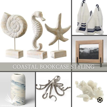 Are you drawn to the ocean and want to bring some calm into your home? Style your bookcase or shelves with coastal inspired decorative items like this collection!

#LTKfamily #LTKhome #LTKSeasonal