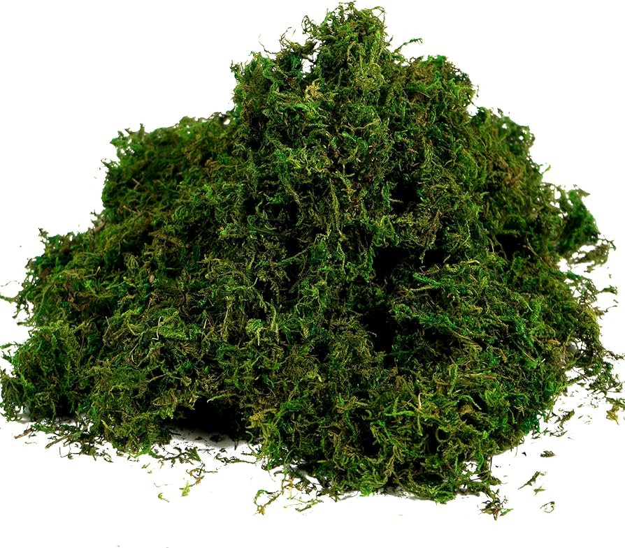 BYHER Artificial Moss Fake Green Grass for Centerpieces Home Kitchen Garden Decor (3.5OZ, Fresh) | Amazon (US)