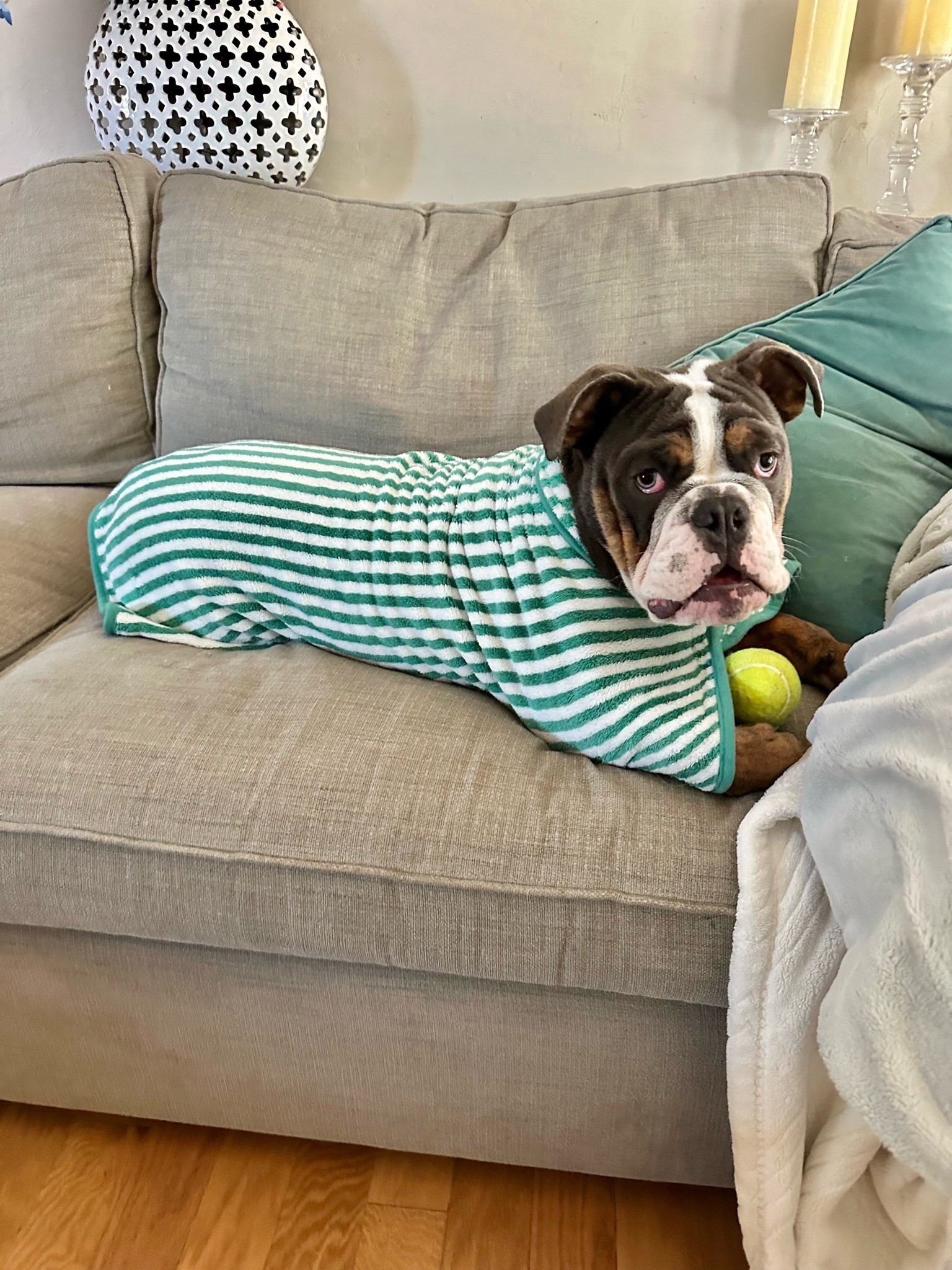 Every good boy (or girl) needs a good bathrobe.

#LTKdayinmylife