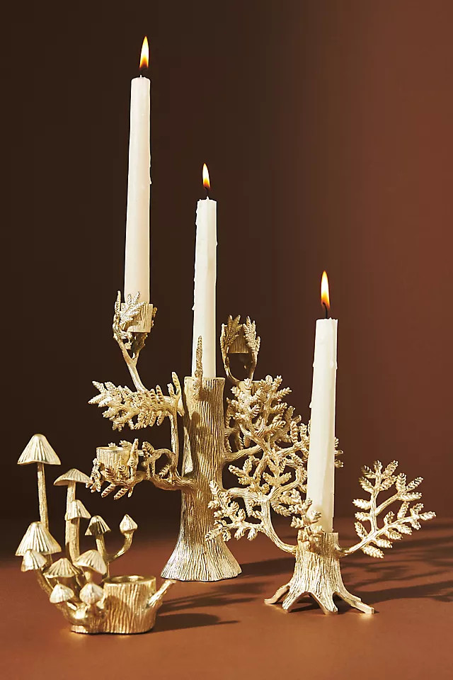 Arden Taper Candle Holder | Anthropologie (US)