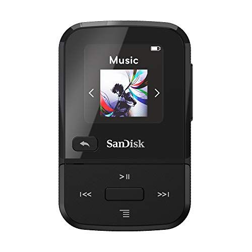SanDisk 32GB Clip Sport Go MP3 Player, Black - LED Screen and FM Radio - SDMX30-032G-G46K | Amazon (US)