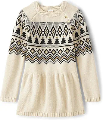 Gymboree Girls' and Toddler Long Sleeve Sweater Dresses | Amazon (US)