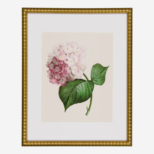 Sheffield Home | TK Maxx