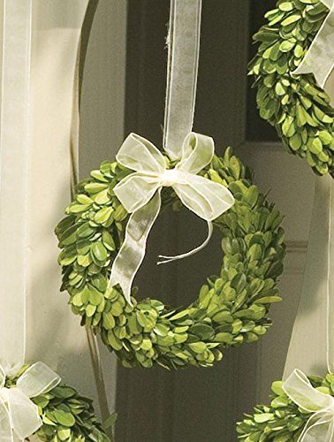 Napa Home & Garden 6-inch Preserved Boxwood Wreath with Ribbon | Amazon (US)