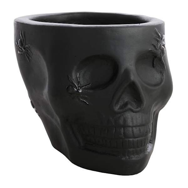 Small Spider Skull Planter At Home, Black, Ceramic | At Home