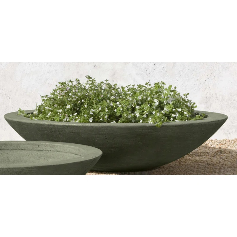 Low Zen Bowl Pot Planter | Wayfair North America