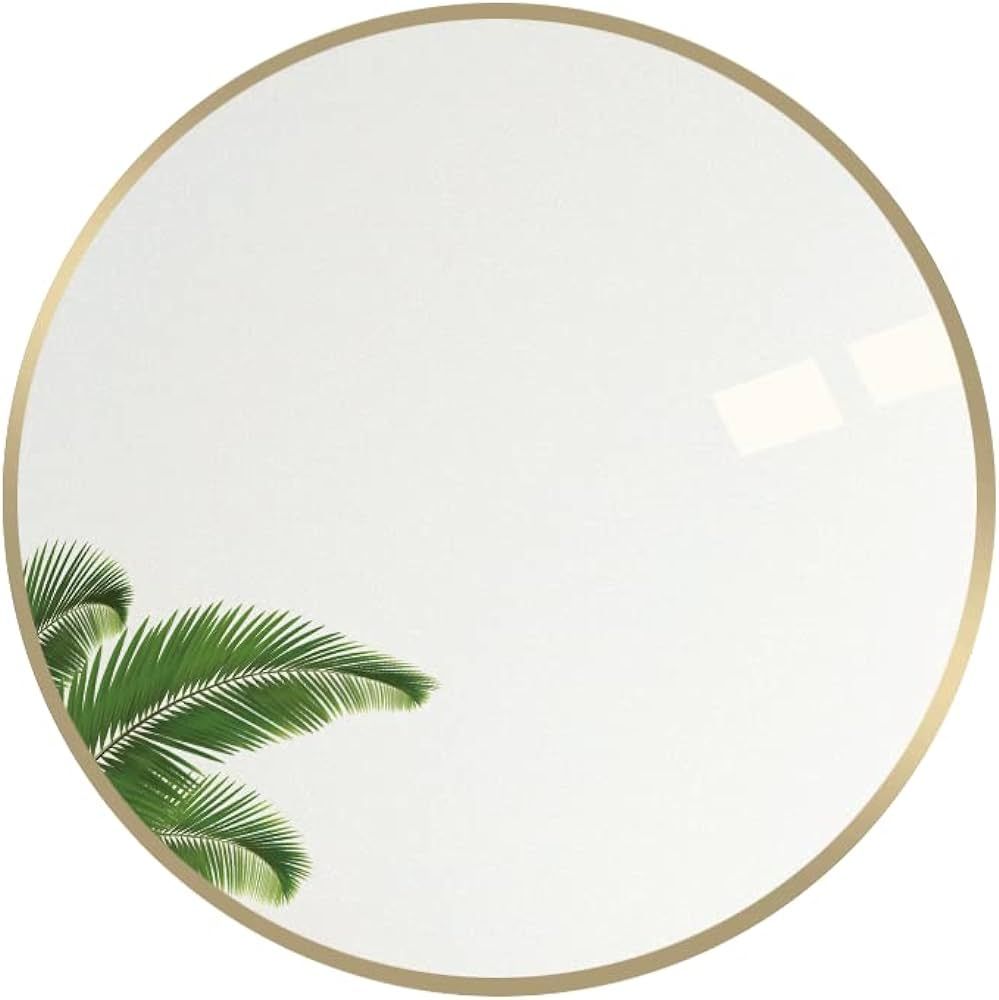Round Mirror 18 Inch Wall Mirror Circle Mirror for Home, Living Room, Bathroom, Wall Decor | Amazon (US)