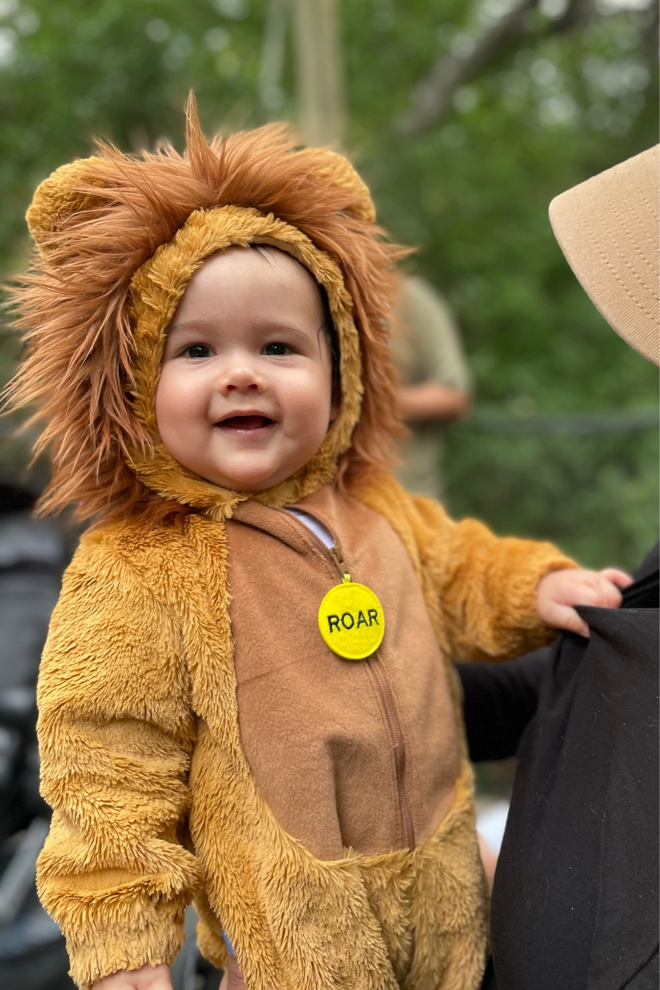 Infant Costume | Baby boy | cutest Lion 🦁 Halloween 

#LTKHoliday #LTKHalloween #LTKbaby