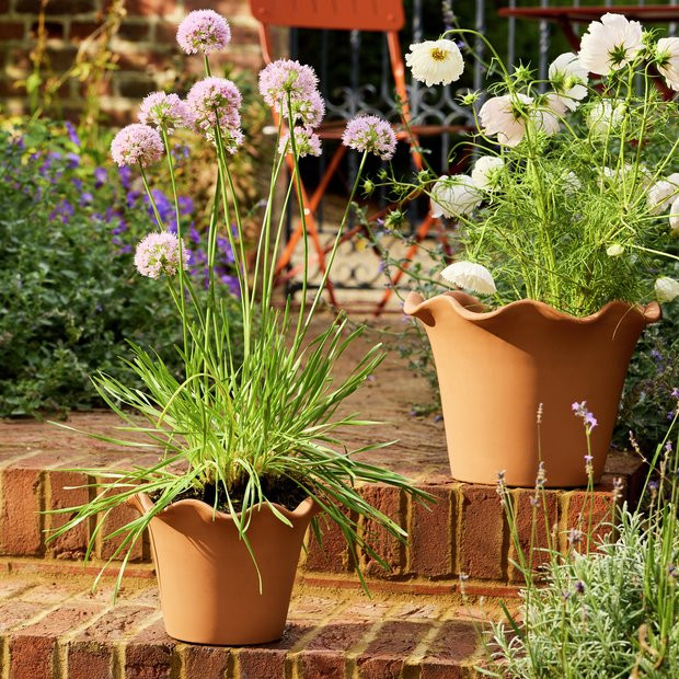 Buy Habitat Scalloped 21cm Clay Planter – Small | Garden planters and pots | Habitat | Habitat UK