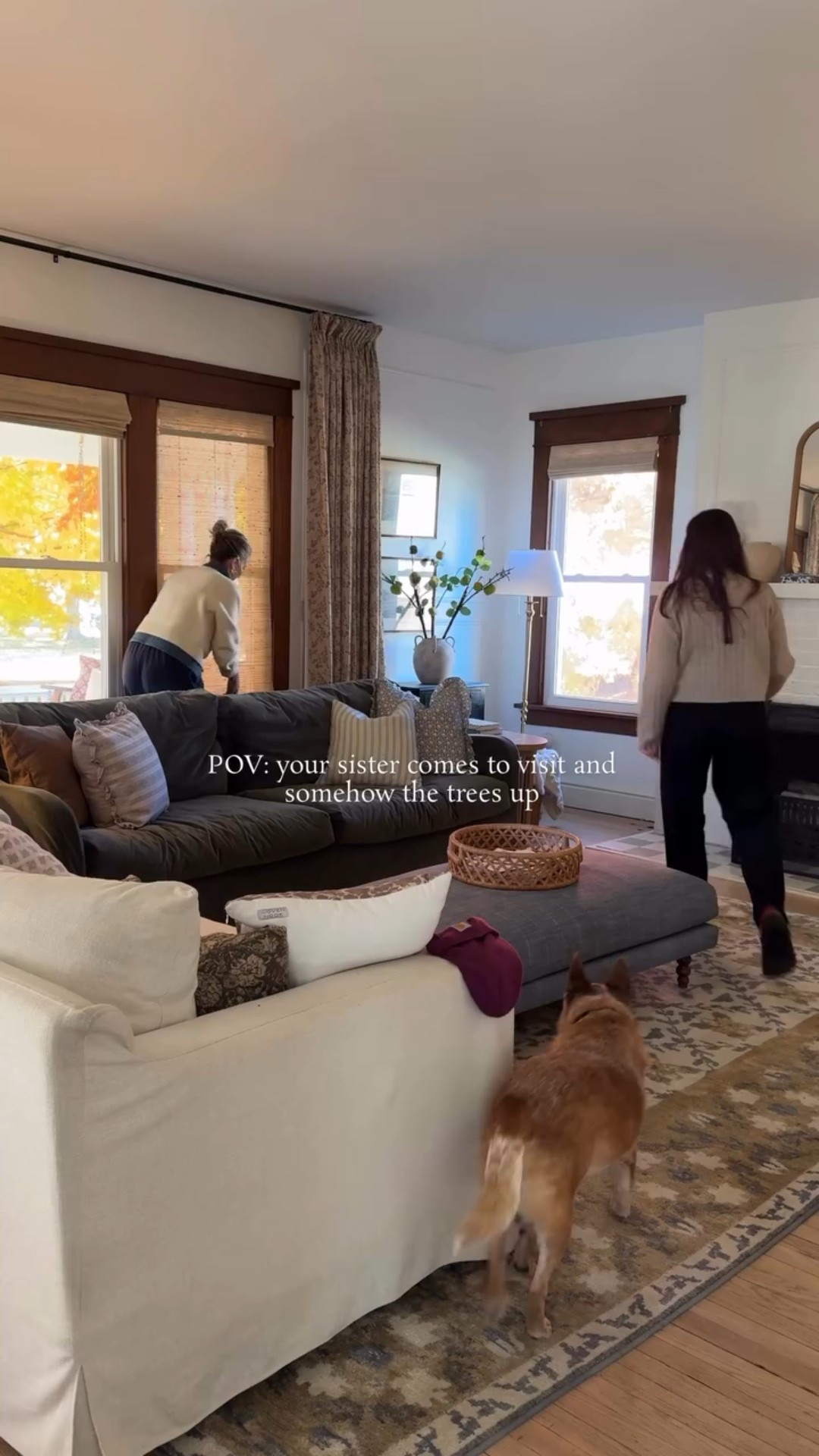 My sister came down for Halloween, and by the end of her trip…the tree was up! 😆🎄 Sometimes all you need is an extra set of hands—and a little borrowed Christmas spirit—to get yourself into gear.

Oldest sisters just have a way of doing both so well. We grew up in a home where Christmas was pure magic. To this day, we still talk about getting the “Christmas tingles” and how we can’t wait to do all the festive things together.

One thing our parents did so beautifully was tradition. Year after year, they carved out moments that stuck with us—shaping the kind of memories we now want to give our own kids. As a parent, I see now just how much love, time, and sacrifice that really takes.

It wasn’t just about the decorations—it was about legacy. And I’m so grateful that even now, we get to keep creating those memories together. ❤️ @smithtribe5

-

#ChristmasAtHome | #SisterTraditions | #FamilyMemories | #KindredHomestead | #MakingHomeMagical | #ChristmasTreeDecor | #HolidayNostalgia | #HomeForTheHolidays | #ChristmasDecorInspo | #CozyHomeVibes | #OldHomeLove | #SeasonalDecor | #MerryAndBright | #TraditionsMatter | #CreatingHome | #ChristmasWithFamily | #HolidayMagic | #HeirloomHome | #LivedInHome | #ClassicChristmas | #ChristmasStyle | #TisTheSeason | #DecoratingTogether | #SimpleHolidayJoy | #ChristmasTimeIsHere