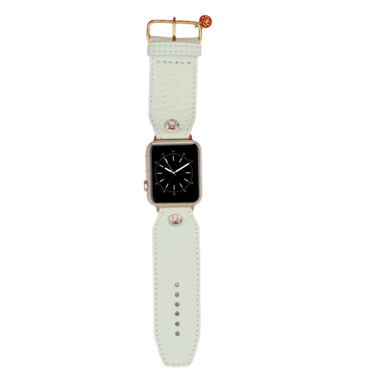 Ready to Ship - Luxe Mint Green Unbreakable Sivella Watchband | Sparkl