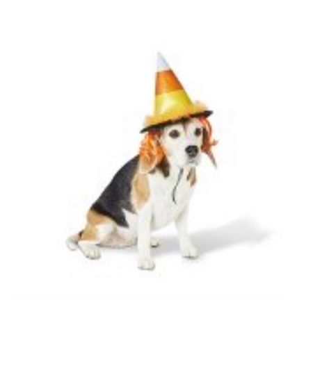 Doggy Halloween hat! 

#LTKunder50 #LTKHalloween #LTKfamily