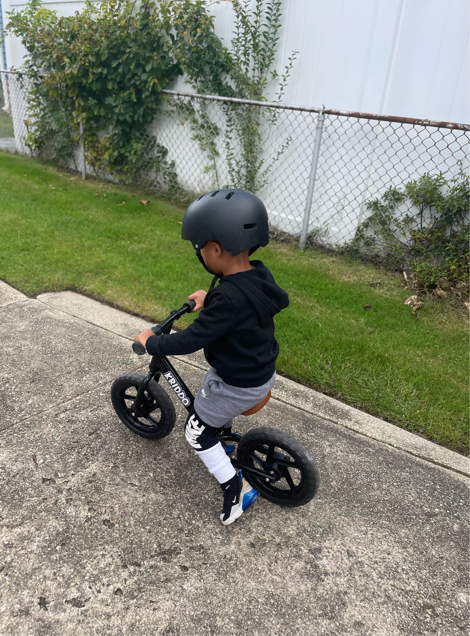 Toddler balance bike 

#LTKkids #LTKfindsunder100 #LTKGiftGuide