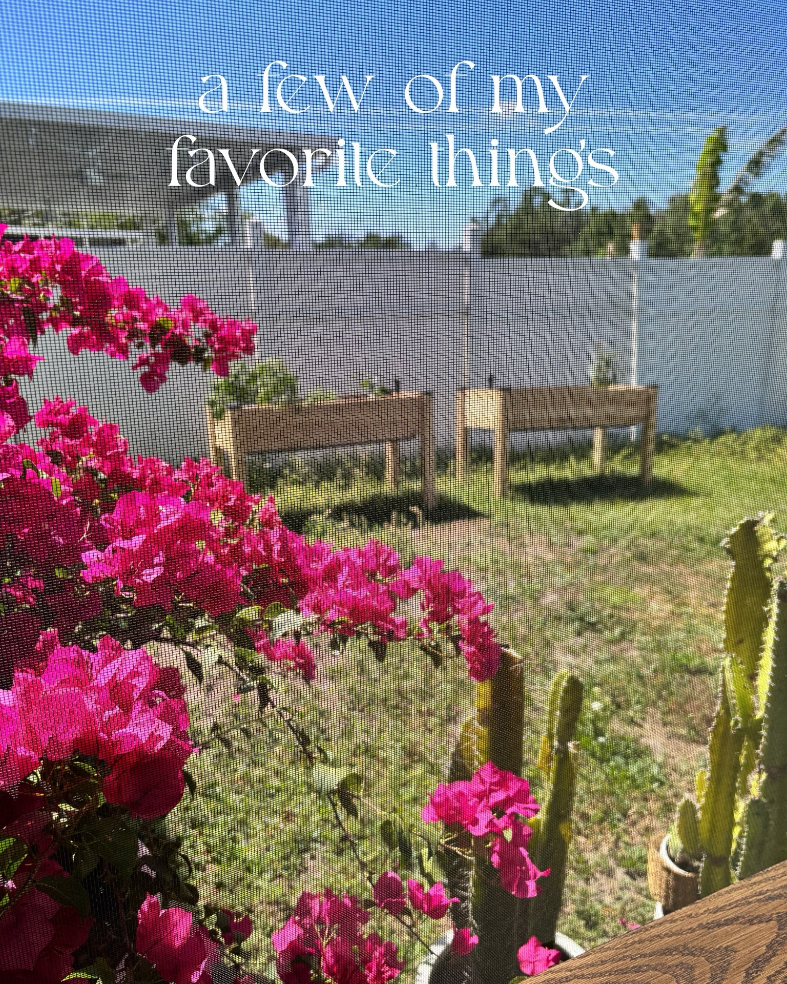 happy friday & happy spring! 😊🌸🦢🦋
sharing 🎶a few of my favorite things🎶 today!☺️

1. my new little backyard garden! I’ve got a few things I’m trying to grow from seed & some transplants I’m hoping thrive! I’ve always wanted a garden & I finally feel like I have the extra space to learn all the things. 👩🏻‍🌾
2. Still in love with this puzzle board! I found some of the prettiest spring puzzles.
3. This shampoo & conditioner is my new fave! It smells insanely good & makes my hair feel soft & more hydrated!
4. I’m so impressed with this wind up train book! It’s super cute & archer loves it. Right now just loves the train part but in a few year I think he’ll love all the info in it too!
5. Pepsi zero wild cherry & cream is so so yummy!!! It’s my new fave!🍒🍦
6. I decorated my bookshelves for spring and they just bring a little extra joy! ☺️🌸🐇🦋



#fridayfaves #costcofinds #backyardgarden #doveshampoo #walmartfinds #walmarthome #amazonfinds #amazonspringfinds #springishere 

#LTKSeasonal #LTKHome
