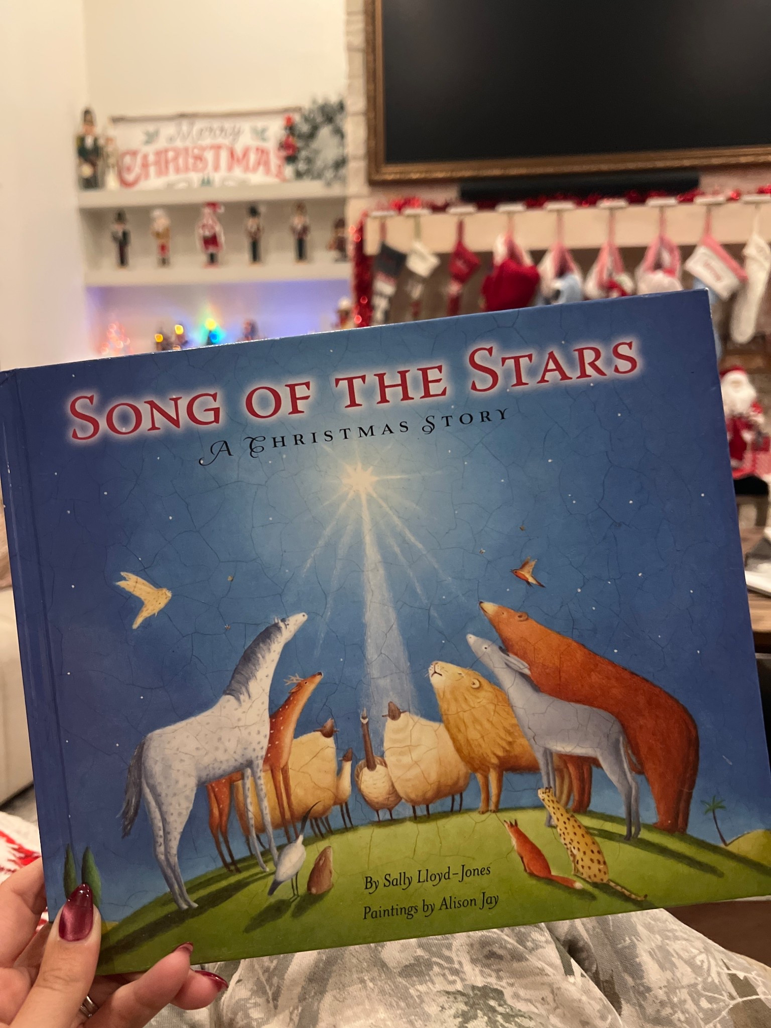 Such a beautiful story about Christmas. About Jesus’ birth. I love this one so much. 