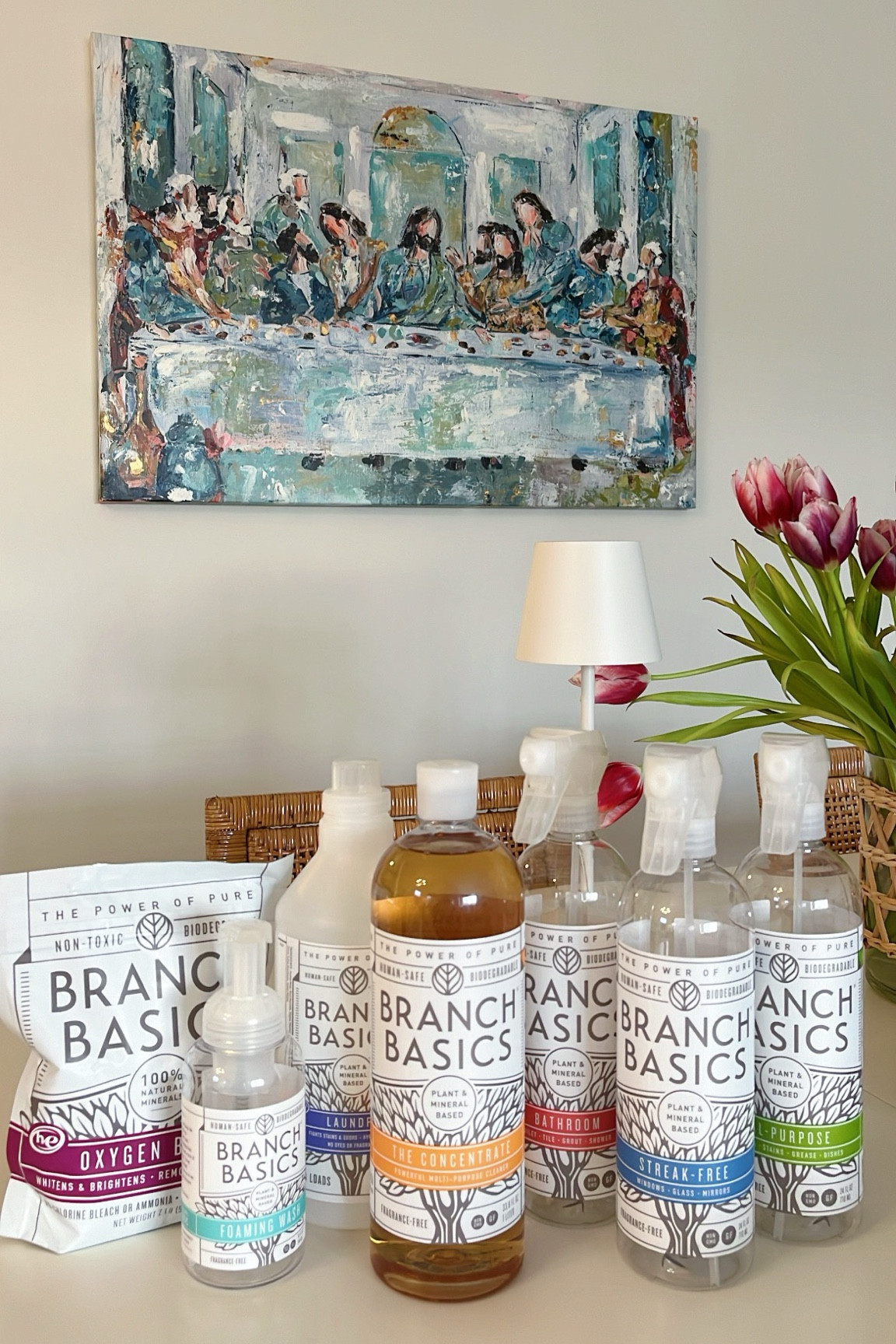 Super passionate about these products and everything this brand stands for. Have listened to so many testimonies as to how simply removing chemical and toxic cleaners from your house can cleanse & heal your body!!!! 

#LTKhome #LTKfindsunder100

#LTKGiftGuide