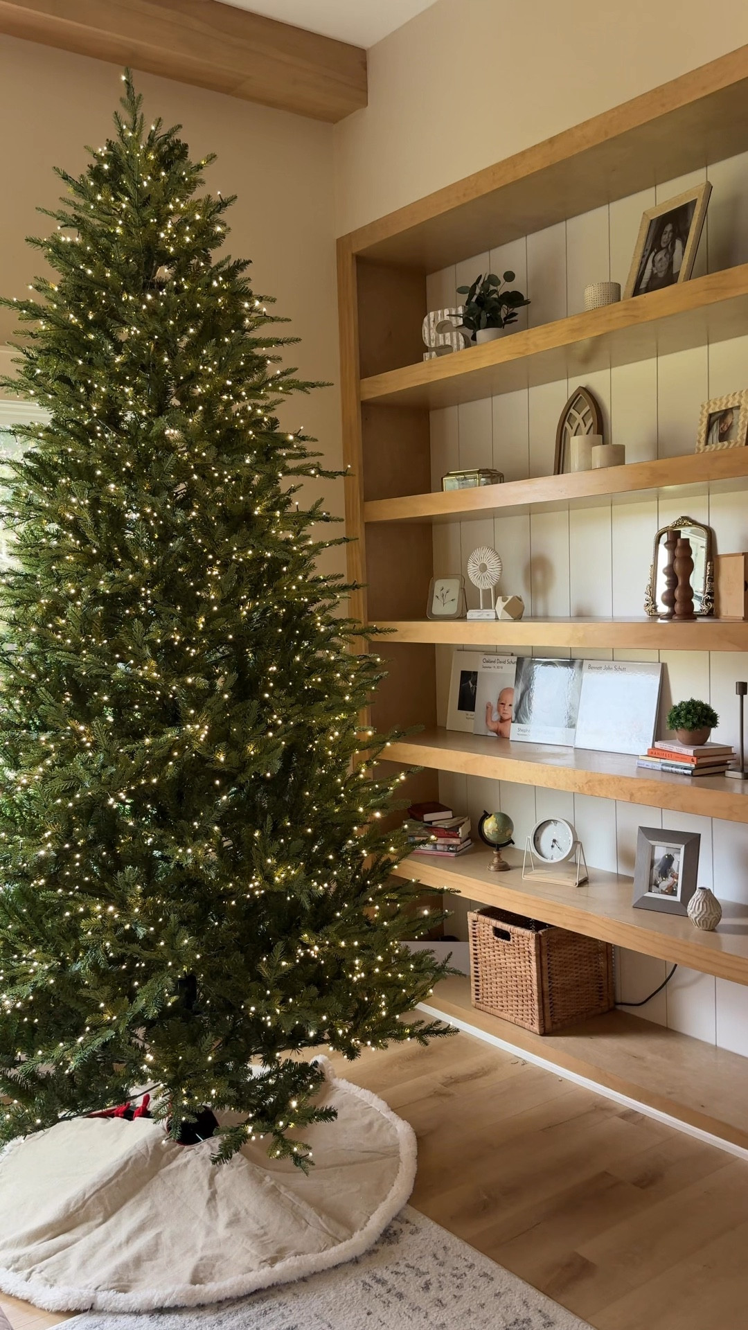 the grand duchess christmas tree

#LTKHoliday #LTKSeasonal #LTKFamily