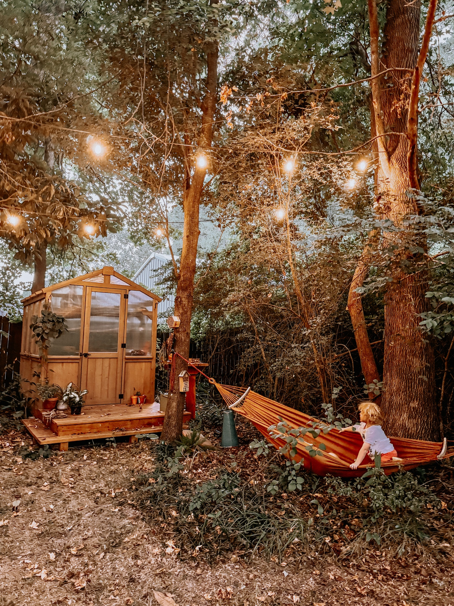 Fall backyard essentials! 

Amazon finds, glancing, hammock 