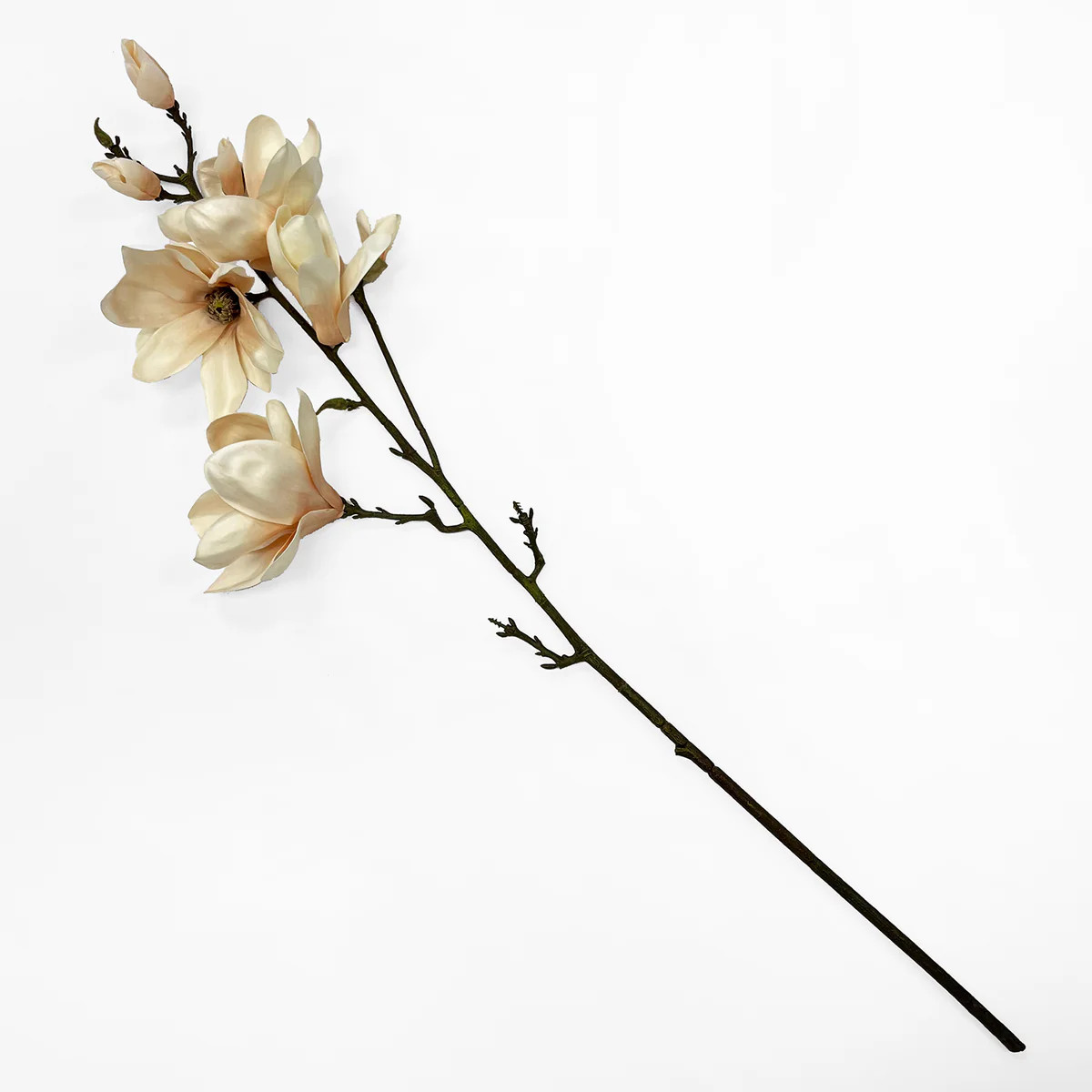 Real Touch Neutral Apricot Tree Magnolia Blossom & Bud Large Branch - 35" | Darby Creek Trading