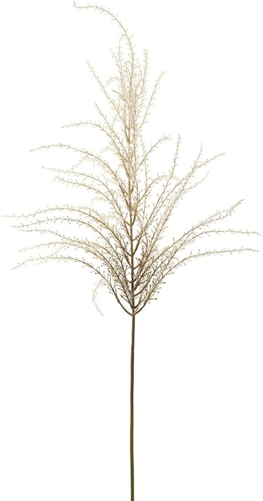 SilksAreForever 57" Artificial Reed Grass Stem -Beige (Pack of 12) | Amazon (US)