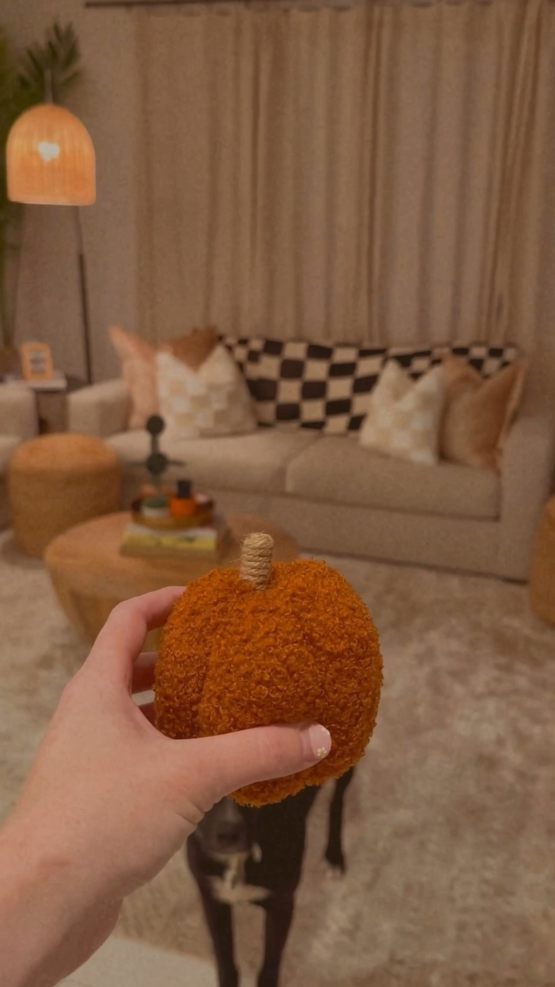 Fall Decor