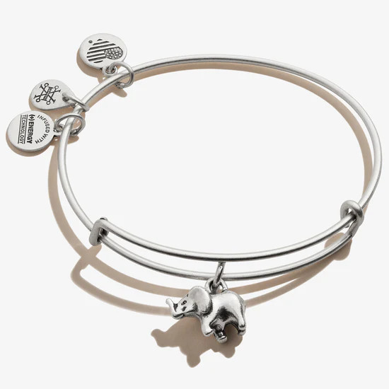 Elephant Charm Bangle Bracelet, II - Alex and Ani | Alex and Ani