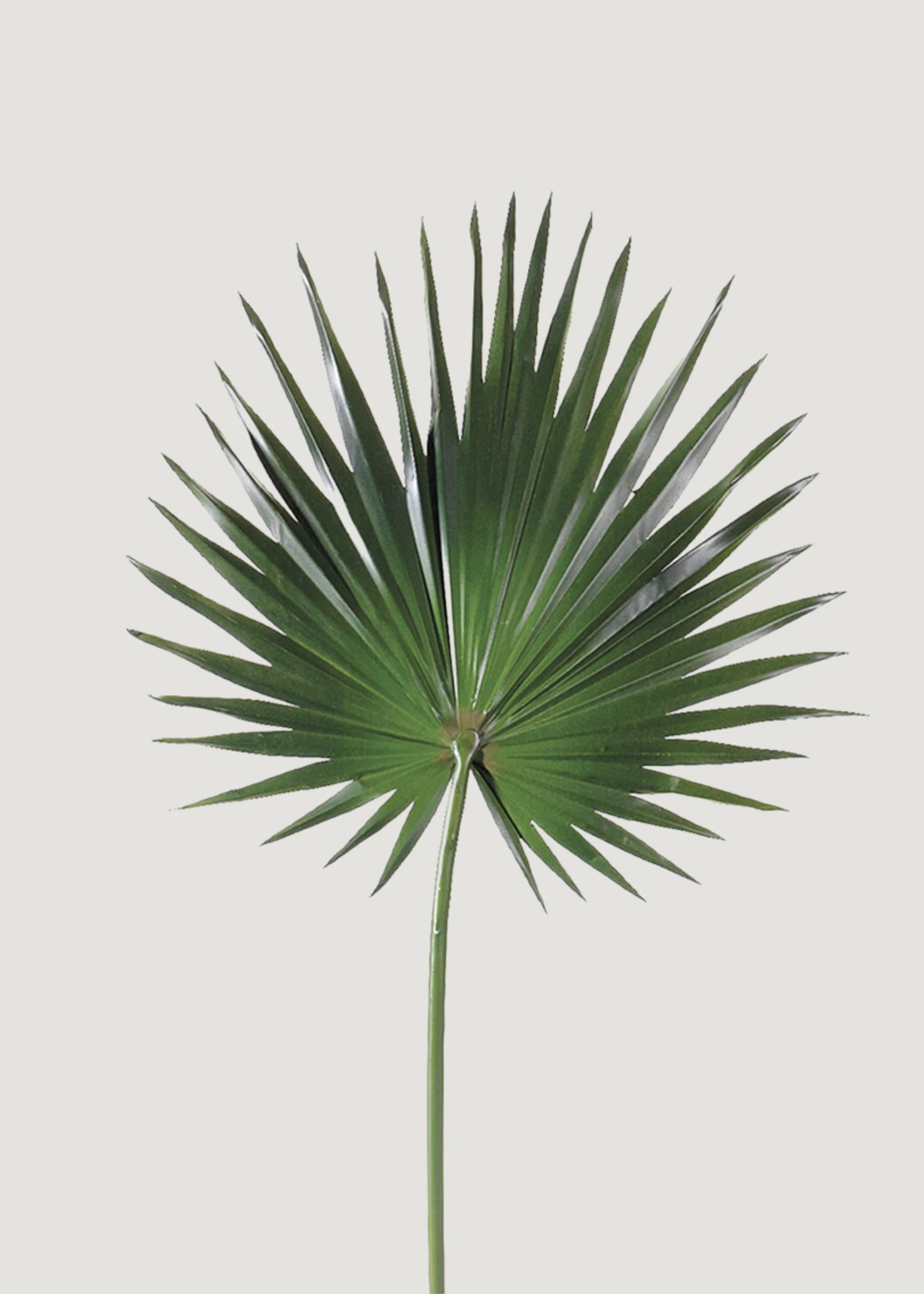 Artificial Fan Palm Leaf - 30 | Afloral