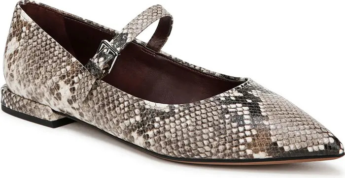 Nalin Pointed Toe Flat (Women) | Nordstrom Rack