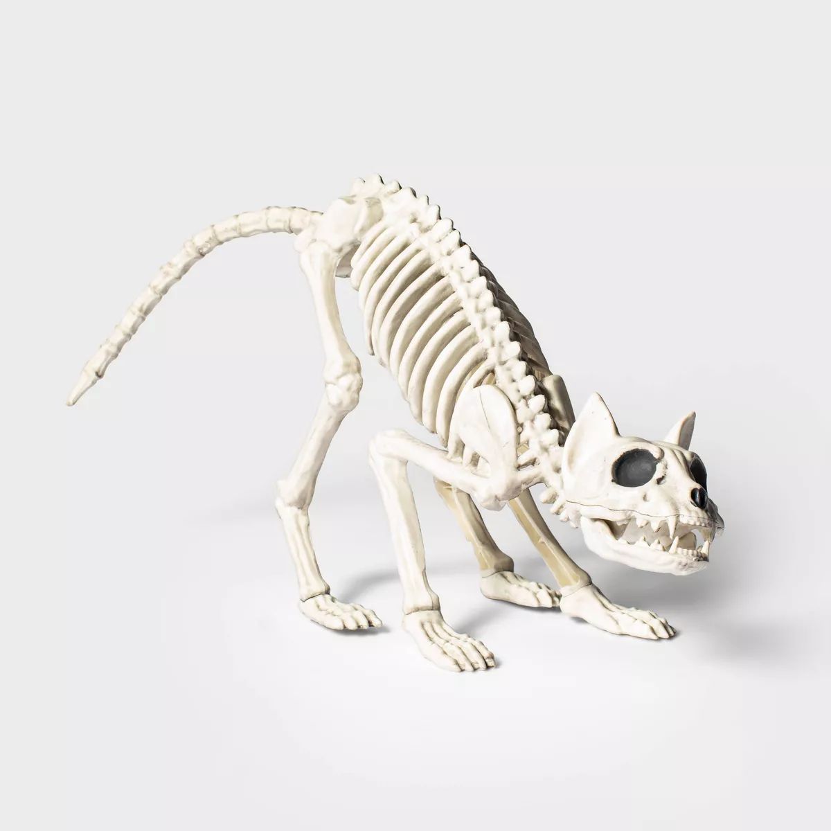 13" Cat Skeleton Halloween Decorative Prop - Hyde & EEK! Boutique™: Indoor/Outdoor Eerie Decor | Target