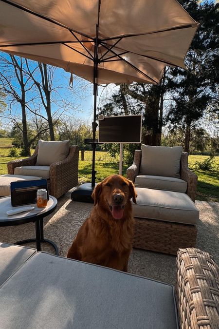 Loving my new outdoor setup! 

#outdoor #walmart #target #wayfair #outdoorfurniture #dogmom #outdoortv #portabletv #umbrella #sunnyday 

#LTKSeasonal #LTKparties #LTKhome