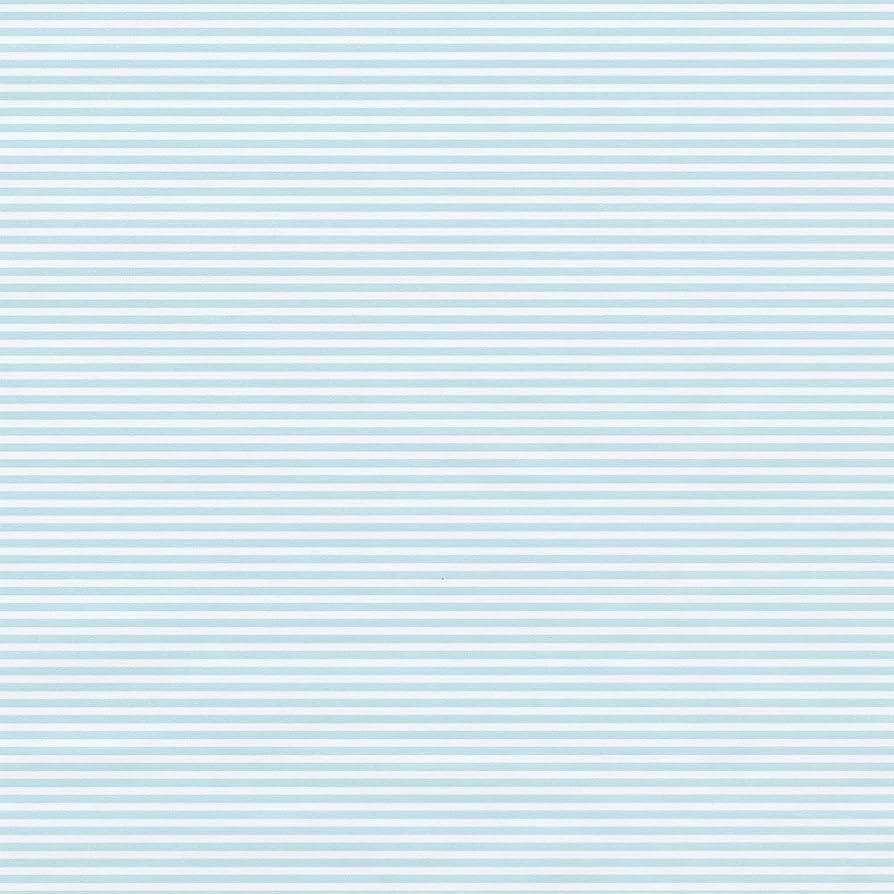 Caspari Oxford Stripe Gift Wrapping Paper in Robin's Egg Blue, 30 in. x 8 ft. Roll | Amazon (US)