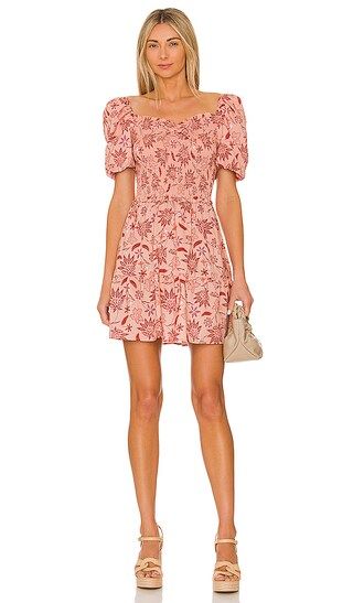 Cotton Candy Dress in Coral Pink | Revolve Clothing (Global)