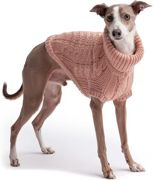 GF Pet Chalet Dog Sweater | Chewy.com