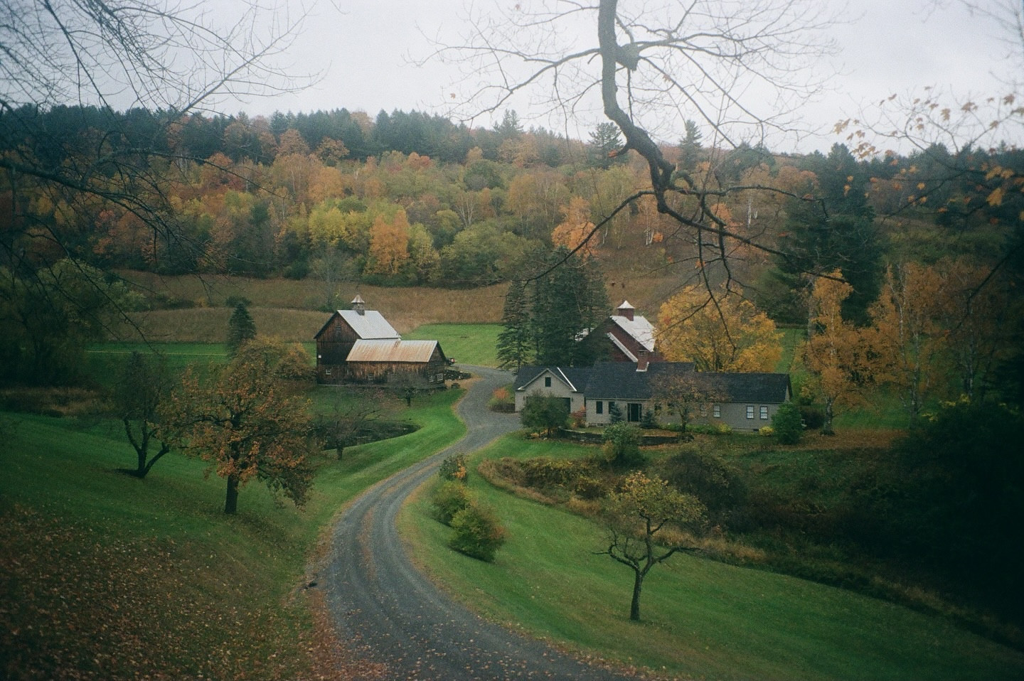 fall film ✨🍂

leaf peepers - your picture perfect fall road trip is planned for you on our blog! 

{ft. rockland ny, sleepy hollow ny, stowe vt, eden vt, woodstock vt, salem ma, new haven ct}

#film #filmphotos #filmphotography #travel #travelblog #fall #fallroadtrip #fallfilm
