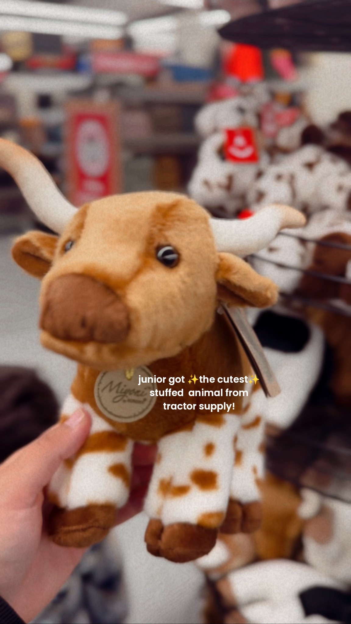 junior got the cutest freaking stuffed animal from tractor supply tonight 😍 emilio got one too but i didn’t video it, it’s a german shepard dog🐾

#LTKKids