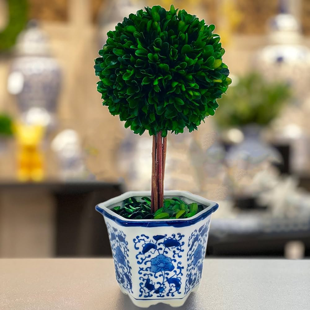 Galt International Preserved Boxwood Topiary Tree in Ceramic Pot Plant and Table Centerpiece Stun... | Amazon (US)