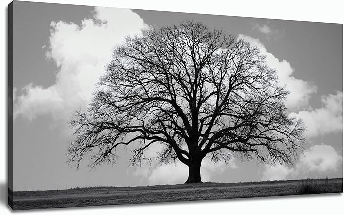 Trogonup Black and White Tree of Life Wall Art for Bedroom Modern Botanical Landscape Pictures fo... | Amazon (US)